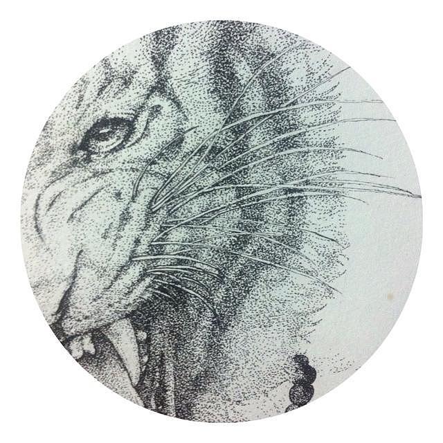 欢天喜地，天生看家，画虎画皮难画骨打一个正确生肖，详细解答、精准解答解释落实